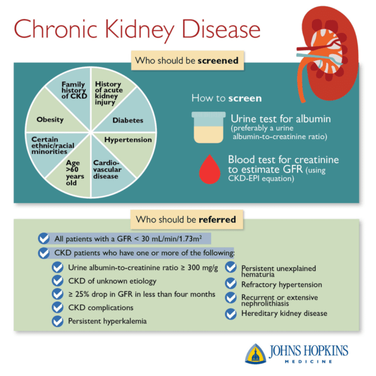 What is Chronic Kidney Disease? - WellPath Partners